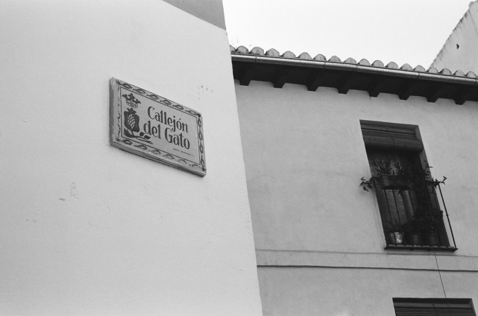 Olympus xa, Delta 400 - Cat's Alley, Granada